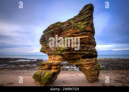 gows castle stack covesea lossiemouth moray scotland. Banque D'Images