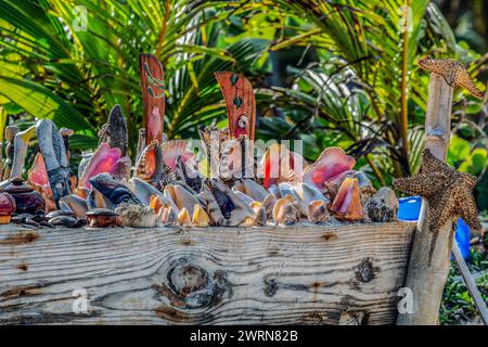 Bibelots spéciaux et objets artisanaux colorés fabriqués à partir de coquillages, de bambous et de palmiers, offerts à la vente aux touristes sur une plage avec des palmiers Banque D'Images