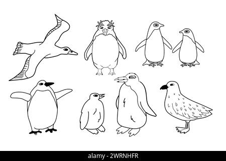 Ensemble de lignes blanches noires vectorielles d'animaux isolés en Antarctique. Contour dessiné à la main adelie, roi, empereur, pingouins macaronis, skua, albatros. Illustration de Vecteur