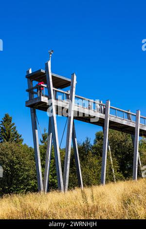 Ponton en bois du Belvédère du Mont Revard, permet une vue sur le lac du Bourget et la ville d’Aix-les-bains Banque D'Images