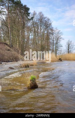 Plage de la lagune de Szczecin, également connue sous le nom de lagune de l'Oder ou lagune de Poméranie, située dans l'estuaire de l'Oder, partagée par l'Allemagne et la Pologne. Banque D'Images