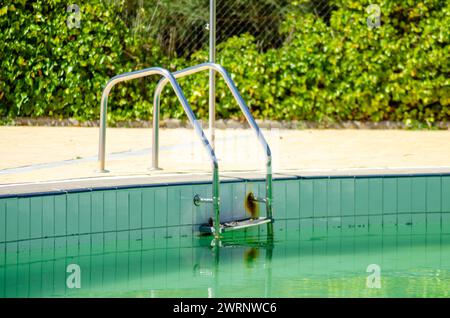 échelles métalliques dans une piscine avec de l'eau sale Banque D'Images