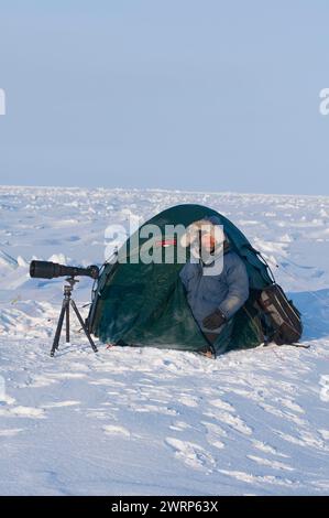 Le photographe Steven Kazlowski avec trépied d'appareil photo et tente Hilleberg campait le long de la côte arctique dans la région du printemps 1002 de l'ANWR Alaska Banque D'Images