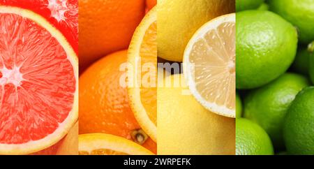 Agrumes. Pamplemousses frais, oranges, citrons et citrons verts, collage Banque D'Images