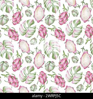 Modèle sans couture avec fruit de dragon aquarelle et feuilles de monstera Banque D'Images