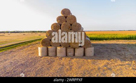 Paille coupée séchée en grandes balles rondes ensemble sur le champ après avoir fauché et récolté le blé au coucher du soleil et à l'aube. Près d'un champ avec des balles carrées. Grand mur de balles de paille. Banque D'Images