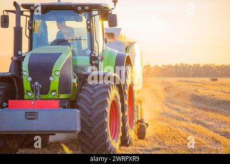 Tracteur avec conducteur et grosses roues conduisant sur le terrain. Moissonneuse-batteuse pressant la paille en balles. Soirée d'été ensoleillée. Balles de blé pressé dans les champs. Poussière. Agraire agricole. Machines agricoles Banque D'Images