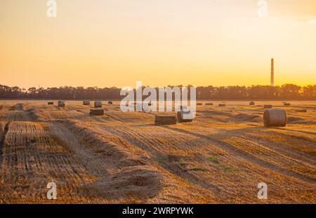 Balles carrées rondes de paille de blé séchée pressée sur le champ après récolte. Soirée ensoleillée d'été, coucher du soleil à l'aube. Balles de blé pressé dans les champs. Travaux de récolte agro-industriels. Agriculture paysage agraire Banque D'Images