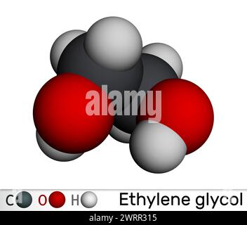 Éthylène glycol, molécule de diol. Utilisé pour la fabrication de fibres de polyester et pour les formulations antigel. Modèle moléculaire. Rendu 3D. Illustration Banque D'Images