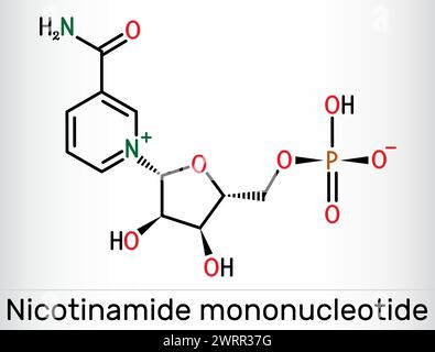 Nicotinamide mononucléotide, molécule NMN. C'est naturellement un métabolite anti-âge, précurseur du NAD+. Formule chimique squelettique. Illustration vectorielle Illustration de Vecteur