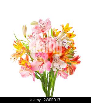 Bouquet de fleurs colorées d'Alstroemeria isolé sur fond blanc. Banque D'Images