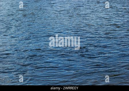 contexte. effet de flou artistique. reflet du ciel dans un lac de rivière. Banque D'Images