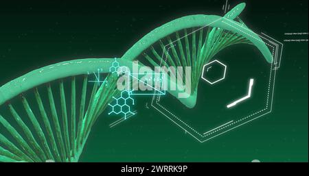 Image d'équations mathématiques sur brin d'adn sur fond vert Banque D'Images