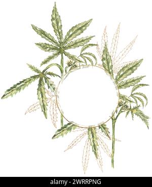 Aquarelle feuilles de cannabis médical illustration de cadre, clipart de frontière de feuilles de marijuana, art clip de couronne de médicament thérapeutique naturel peint à la main, médical Banque D'Images