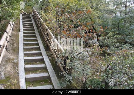 Escaliers dans un jardin japonais avec des marches en pierre et une main courante en bambou au milieu d'arbustes verts et d'arbres. Banque D'Images