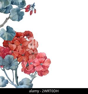 Composition avec des branches feuilles et des fleurs de géranium.illustration d'aquarelle dessinée à la main. Modèle pour Cardssign Banque D'Images