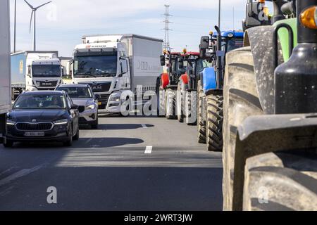 Gand, Belgique. 14 mars 2024. Des tracteurs sont vus à la « Turborotonde » lors d'une manifestation d'agriculteurs bloquant l'entrée des camions au port de Gand, le jeudi 14 mars 2024. Deux associations indépendantes de jeunes agriculteurs continuent de protester contre les règles strictes en matière d'azote pour les agriculteurs. En bloquant les ports, les agriculteurs veulent souligner que c’est principalement l’industrie qui émet de l’azote, et non l’agriculture. BELGA PHOTO NICOLAS MAETERLINCK crédit : Belga News Agency/Alamy Live News Banque D'Images