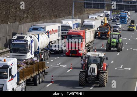 Gand, Belgique. 14 mars 2024. Camions et tracteurs photographiés lors d'une manifestation d'agriculteurs bloquant l'entrée des camions au port de Gand, jeudi 14 mars 2024. Deux associations indépendantes de jeunes agriculteurs continuent de protester contre les règles strictes en matière d'azote pour les agriculteurs. En bloquant les ports, les agriculteurs veulent souligner que c’est principalement l’industrie qui émet de l’azote, et non l’agriculture. BELGA PHOTO NICOLAS MAETERLINCK crédit : Belga News Agency/Alamy Live News Banque D'Images