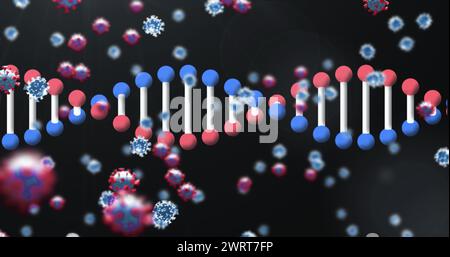 Image d'un brin d'ADN 3d tournant avec des icônes de cellules de coronavirus COVID 19 flottant sur fond noir Banque D'Images