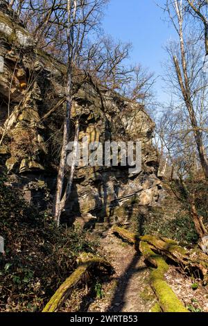 Roche de grès dans la forêt sur la piste de Ruhrhoehen dans les montagnes Ardey près de Herdecke, Rhénanie du Nord-Westphalie, Allemagne. Sandsteinfelsen im Wald Am Banque D'Images