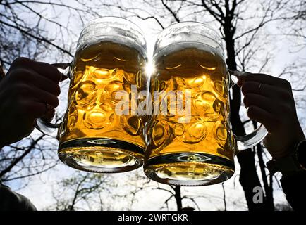 Munich, Allemagne. 14 mars 2024. Un jeune couple claquera des verres avec deux tasses à bière pleines dans le jardin anglais près de la Tour chinoise. Les températures printanières vous invitent à vous attarder à l'air frais. Crédit : Peter Kneffel/dpa/Alamy Live News Banque D'Images