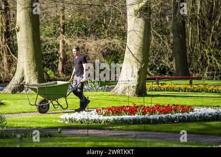 LISSE - Un lit de fleurs à de Keukenhof. Le parc fleuri est presque prêt à recevoir des visiteurs à nouveau dans la nouvelle saison. ANP JEROEN JUMELET pays-bas OUT - belgique OUT Banque D'Images