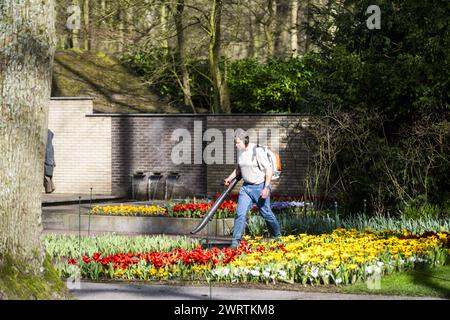 LISSE - Un lit de fleurs à de Keukenhof. Le parc fleuri est presque prêt à recevoir des visiteurs à nouveau dans la nouvelle saison. ANP JEROEN JUMELET pays-bas OUT - belgique OUT Banque D'Images