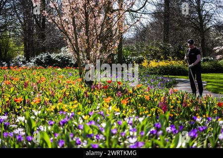LISSE - Un lit de fleurs à de Keukenhof. Le parc fleuri est presque prêt à recevoir des visiteurs à nouveau dans la nouvelle saison. ANP JEROEN JUMELET pays-bas OUT - belgique OUT Banque D'Images