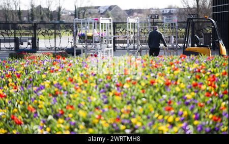 LISSE - Un lit de fleurs à de Keukenhof. Le parc fleuri est presque prêt à recevoir des visiteurs à nouveau dans la nouvelle saison. ANP JEROEN JUMELET pays-bas OUT - belgique OUT Banque D'Images