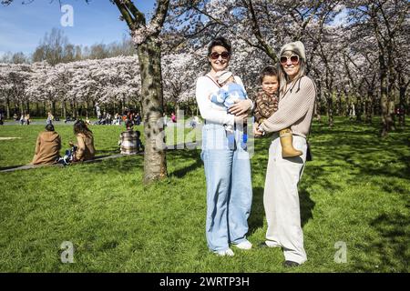 AMSTELVEEN - les visiteurs pendant la floraison des cerisiers japonais sont dans le Bloesempark dans le Bos Amsterdamse. Les fleurs attirent beaucoup l'attention de la maison et de l'étranger pendant les mois de floraison de mars et avril. ANP DINGENA mol pays-bas OUT - belgique OUT Banque D'Images