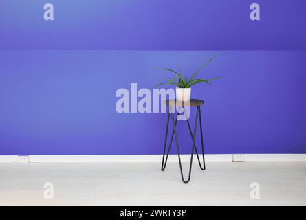 Chambre à la maison avec mur violet, sol stratifié blanc, pot de fleur sur le stand. Beaucoup d'espace de copie. Banque D'Images