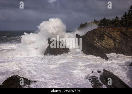 Des vagues géantes s'écrasant contre les rochers à Shore acres, Oregon créant un paysage spectaculaire spécialement pendant les mois d'hiver lorsque les tempêtes se déplacent Banque D'Images
