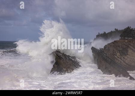 Des vagues géantes s'écrasant contre les rochers à Shore acres, Oregon créant un paysage spectaculaire spécialement pendant les mois d'hiver lorsque les tempêtes se déplacent Banque D'Images