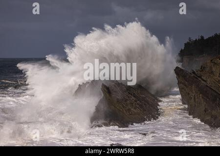 Des vagues géantes s'écrasant contre les rochers à Shore acres, Oregon créant un paysage spectaculaire spécialement pendant les mois d'hiver lorsque les tempêtes se déplacent Banque D'Images