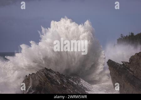 Des vagues géantes s'écrasant contre les rochers à Shore acres, Oregon créant un paysage spectaculaire spécialement pendant les mois d'hiver lorsque les tempêtes se déplacent Banque D'Images