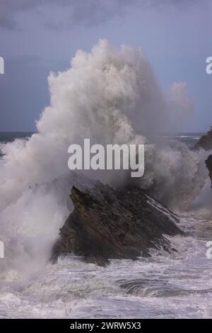 Des vagues géantes s'écrasant contre les rochers à Shore acres, Oregon créant un paysage spectaculaire spécialement pendant les mois d'hiver lorsque les tempêtes se déplacent Banque D'Images