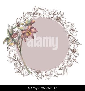 Un cadre de fleurs dans un graphique, une fleur d'aquarelle hellebore sur un fond blanc. Une illustration botanique dessinée à la main. Mariage, anniversaire, invitati Banque D'Images