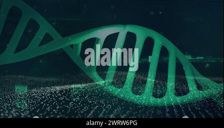 Structure de l'ADN tournant contre l'onde numérique sur fond bleu Banque D'Images