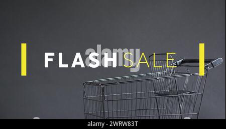 Image du texte de vente flash sur le chariot Banque D'Images