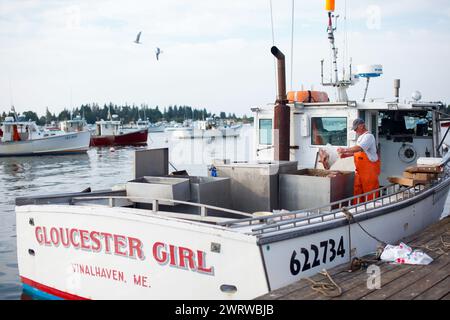 Homards vivants à vendre à Vinalhaven, Maine, USA. Banque D'Images