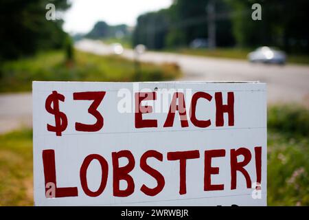 Signe de homard sur le côté de la route dans le Maine rural, États-Unis. Banque D'Images