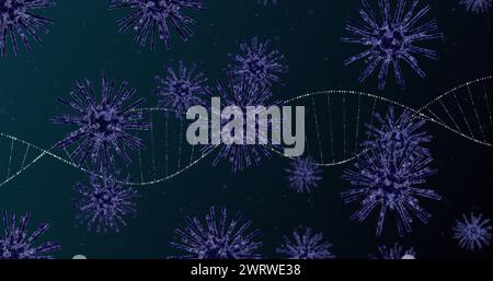 Image des cellules virales sur le brin d'adn Banque D'Images