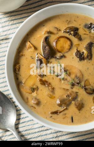 Soupe de champignons maison bio et riz sauvage avec du pain Banque D'Images