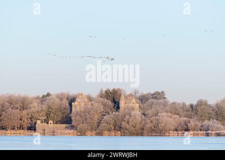 Des oies à pieds roses (Anser Brachyrhynchus) ou des oies lévriers (Anser Anser) volant au-dessus de Dunecht Estate Gatehouse au Loch of Skene par un matin glacial Banque D'Images