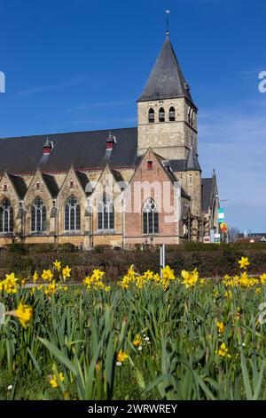 Vue printanière de l'église St.Martins (Sint Martinus) à Herzéle, Flandre orientale, Belgique. Copier l'espace ci-dessous. Banque D'Images