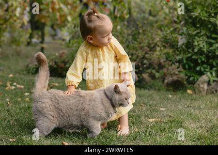 Belle fille enfant et chat écossais moelleux dans le jardin de l'arrière-cour Banque D'Images