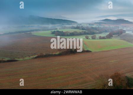 Vue aérienne des parcelles cultivées et des haies en automne avec brouillard. Banque D'Images