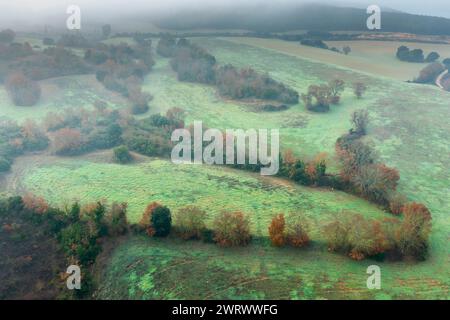 Vue aérienne des parcelles cultivées et des haies en automne avec brouillard. Banque D'Images