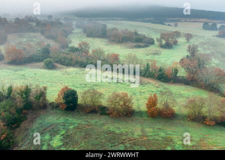 Vue aérienne des parcelles cultivées et des haies en automne avec brouillard. Banque D'Images