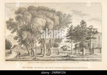 The Seven Sisters Orm Trees & page Green Common, Tottenham High Cross 1840 Banque D'Images